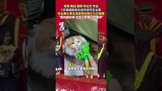 考研 再战 读研 写论文 毕业，5岁猫猫陪男生经历研究生全程，毕业典礼男生请老师也帮忙为它拨穗 #暖新闻 #正能量 #感動 #熱門 #狗狗