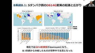 IIBMP2021 セッション2-3 中川草（東海大）「ゲノム解析から見えてくる日本の新型コロナウイルスの感染動向」(3)A系統（S型）とB系統（L型）