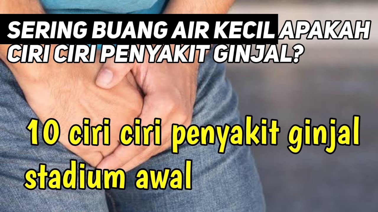 10 Ciri Ciri Penyakit Ginjal Stadium Awal Yang Perlu Kamu Ketahui - YouTube