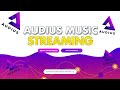 Audius Overview - The Blockchain Music Streaming dAPP (AUDIO)