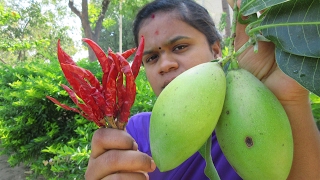 Fresh MANGO With RED CHILLI Recipe | VILLAGE STYLE FOOD