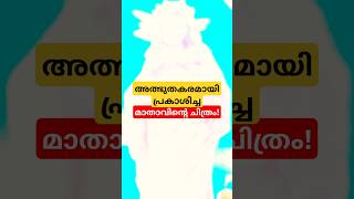 അത്ഭുതകരമായി പ്രകാശിച്ച മാതാവിന്റെ ചിത്രം! |SHARE| #kreupasanam #holyspirit