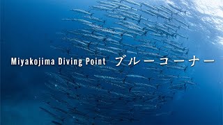 ブルーコーナー【宮古島ダイビングポイント】八重干瀬エリア