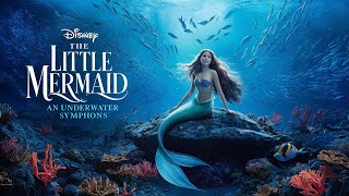 THE LITTLE MERMAID AN UNDERWATER SYMPHONY