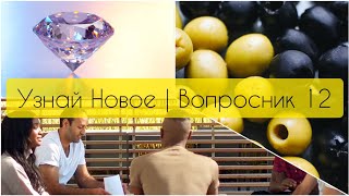 Узнай Новое | Вопросник 12 #узнайновое #развитие #опрос #интересное #дляглухих