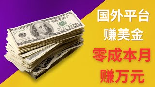 利用信息差在国外平台赚美金，零成本月赚万元，新手赚钱项目，小白也可以操作的网赚项目！