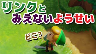 【ゲーム遊び】ゼルダの伝説 夢をみる島 見えない妖精が出てくる遊びw【アナケナ&カルちゃん】The Legend of Zelda