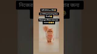 নিজের মুখে স্বীকার করার জন্য ধন্যবাদ🐸 #ytshorts #funny #trending #viralvideo #shorts