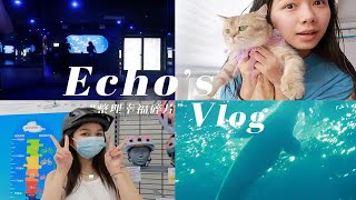 【echo】周末企划｜九月开心日记 VLOG