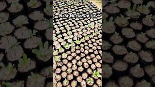 Plant Nursery visit 🪴#gardning #nursery #plants #flower #youtubeshorts #viralvideo