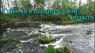 Рыбалка в Ленинградской области.