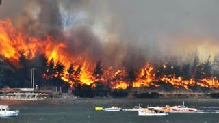 Large Wildfire near Istanbul || Urgent Evacuation of People!, Heybeliada Island, Turkey