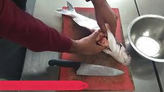Gutting a Fish || Cleaning of Fish