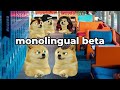 doge tries the english or spanish trend