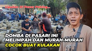 Review Harga Domba Terbaru Di Pasar Pahing Mojosari | @AGROTV9