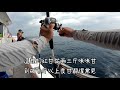 taiwan boat jigging 2019.05 熱血花瓶嶼 船釣鐵板紅魽班