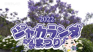 ジャカランダまつり2022開催中（宮崎県日南市）