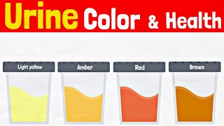 What Your Urine Color Says About Your Health | Understanding Urine Color🟡