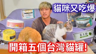 【瘋開箱Ep8】開箱五個台灣貓主食罐品牌!耐吉斯、霸王貓、卡尼、自然食、好味小姐幼母貓