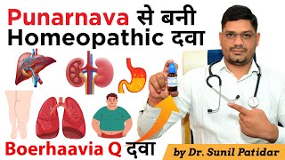 Punarnava Q Homeopathic Medicine for Liver, Kidney, Lungs and More... | Dr. Sunil Patidar #punarnava