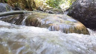 Ranipuram hills | fresh water Ranipuram  | Ranipuram waterfalls