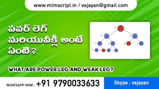 పవర్ లెగ్ మరియు వీక్ లెగ్ అంటే ఏంటి? - What are power leg and weak leg?