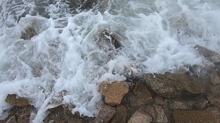 台风路过海边卷起大浪，深海大货被拍上岸惨死，小伙吓的不敢靠近