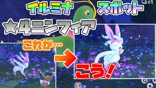 【Newポケモンスナップ】イルミナスポットの★4ニンフィアは前から撮れる！！その条件とは？【ポケスナ】