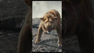 Donald Glover e Beyoncé  De Volta Em Mufasa: O Rei Leão
