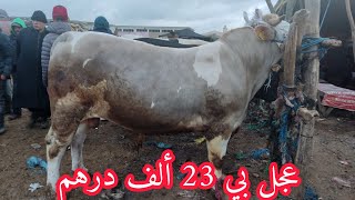 الله على عجول خيالية في سوق الإثنين عين عودة زعير 14/2/2022مع الأثمنة وكلام جميل مع الگزارة والكسابة