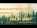 Human Respiratory System/ Exploring human body / BIOLife Quest