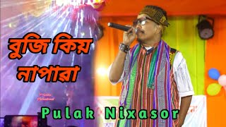 BUJI KIO NAPAOA PULAK NIXASOR-new Assamese song 2024 ( singer from ami gaor modahi)