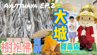 【泰國大城Ep.2】大城府必到景點~樹抱佛/傳統甜品店/大城海鮮 Wat Maha That,Ayutthaya