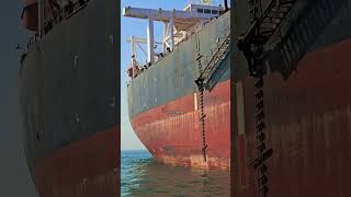 Life of seaman.Η ζωή στα πλοία #ship #ladder #sea #seaman #sealife #shipping #marine #boat #danger