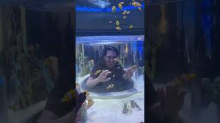 CEBU OCEAN PARK | IWOG DADDIES