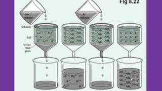 Forest Soils - Colloids