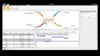 iMindMap 6 - Project View
