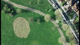 GIANT fingerprints