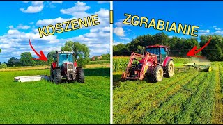 🔥KOSZENIE🔥ZGRABIANIE🔥TRAWY I LUCERNY🔥 W GR GRONDOWY🔥MASSEY FERGUSON I TYM W AKCJI🔥AGROTEAM-ŁÓDZKIE🔥