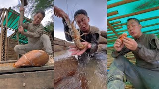 【Outdoor Mingze】絕地求生，發現大鰻魚#funny #outdoor #户外 #户外烹饪 #food