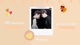 [ OPV ] วอนซูน 🦊🐯 #wonsoon