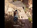 assassin's creed origins