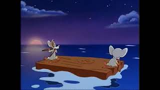Pinky and the Brain - Try To Take Over The World!