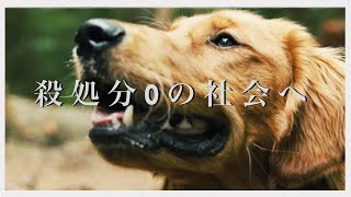 【犬のきもち】殺処分０の社会へ