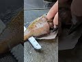 how to fillet bream