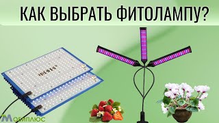 КАК ВЫБРАТЬ ФИТОЛАМПУ ДЛЯ РАСТЕНИЙ