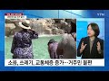 4만 명 사는 동네에 140만 명 우르르 ...절규하는 주민들 y녹취록 ytn