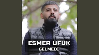 Gelmedi