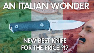 is THIS The NEW Best Knife for The Price!? | Lionsteel B41