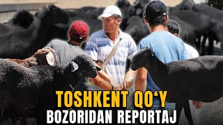 Toshkent shahridagi qoʻy bozoridan reportaj